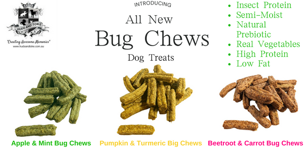 Bug Chew Dog Treats