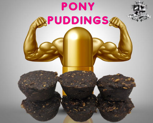 Pony Puddings Horse Treats