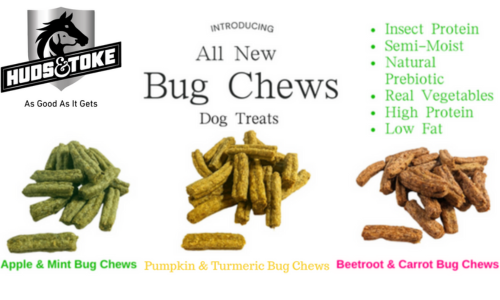 Healthy Dog Treats 