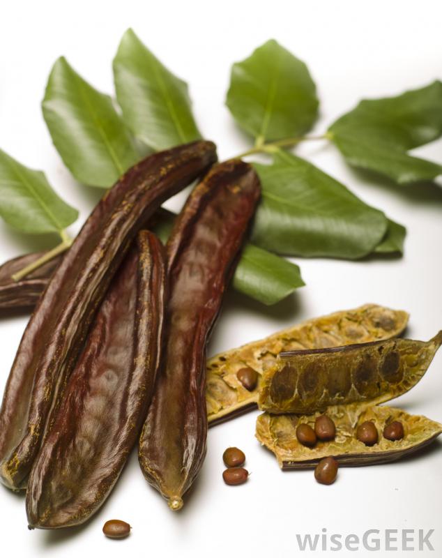 Carob is safe for pets to eat