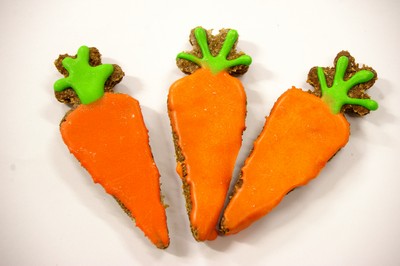 Horse Treats - Carrot Cookies