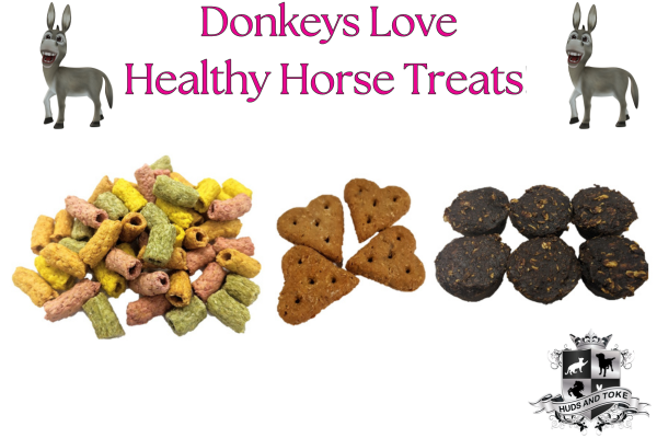 Healthy Horse Treats