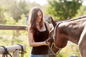 Horse Treats