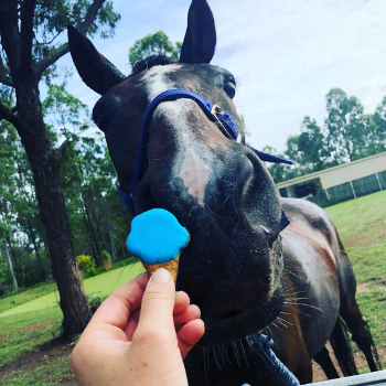 Horse Treats to pamper your pony