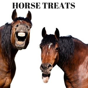 Gourmet Horse Treats with Molasses