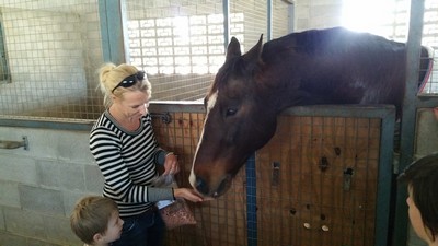 Gourmet Horse Treats