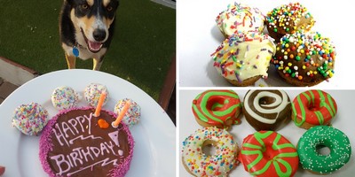 Dog Birthday Treats