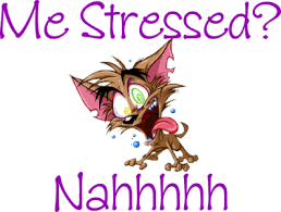 Stress_Less_with_Huds_and_Toke_Pet_Treats