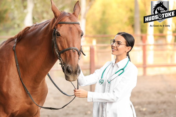 Horses and Medications