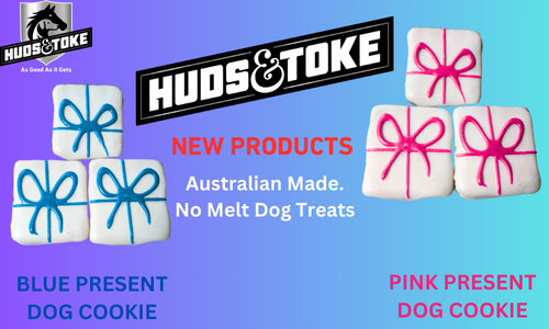No Melt Present Dog Treats