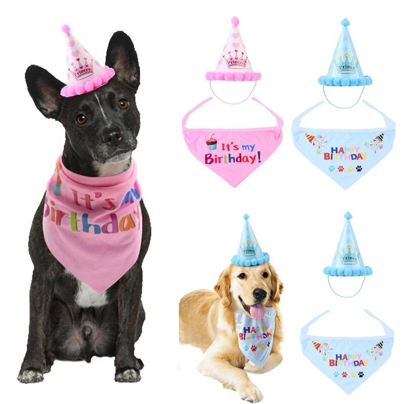 Pet Birthday Hats