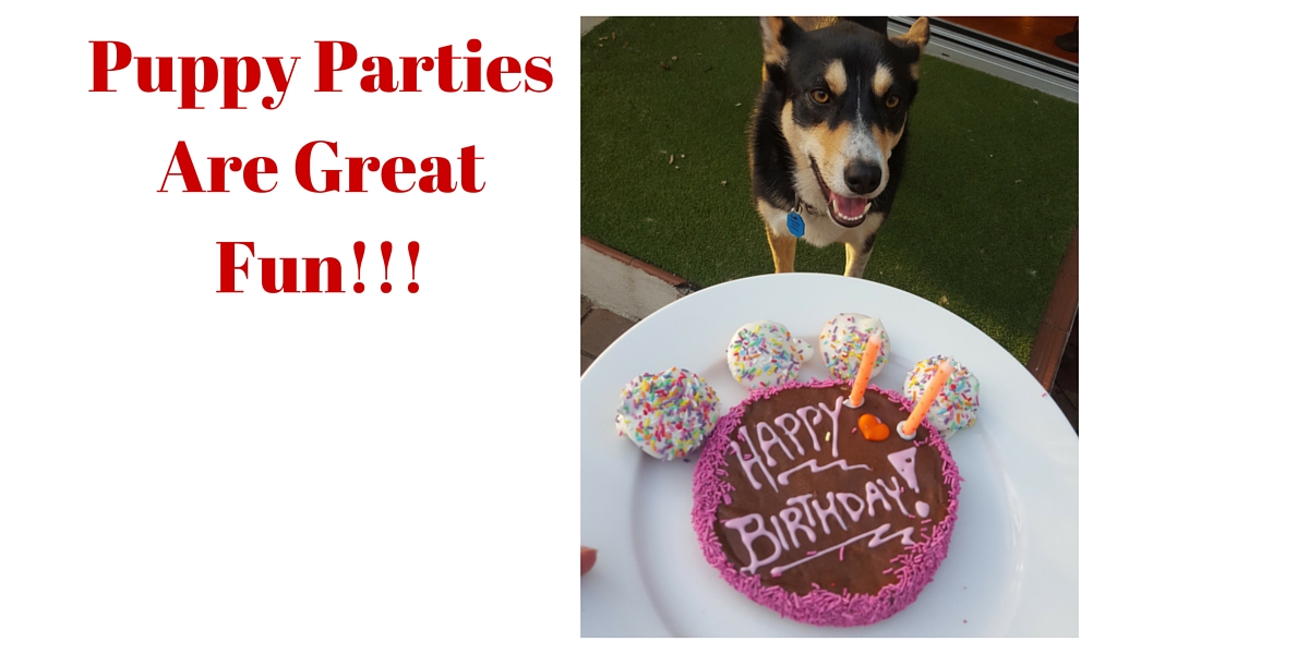 Birthday Dog Treats